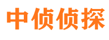 江岸婚外情调查取证